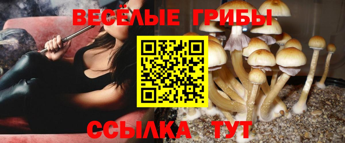 Псилоцибиновые грибы GOLDEN TEACHER  Вход с VPN  Касимов 